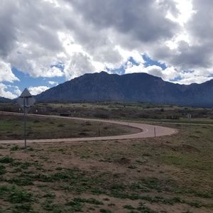 Meet your Posher, Carolynn